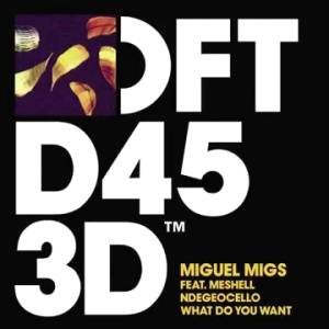 Download Miguel Migs, Meshell Ndegeocello - What Do You Want - MP3 Free