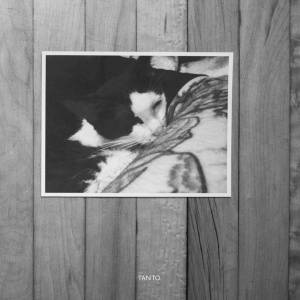Download Bvdub - Tanto - MP3 Free